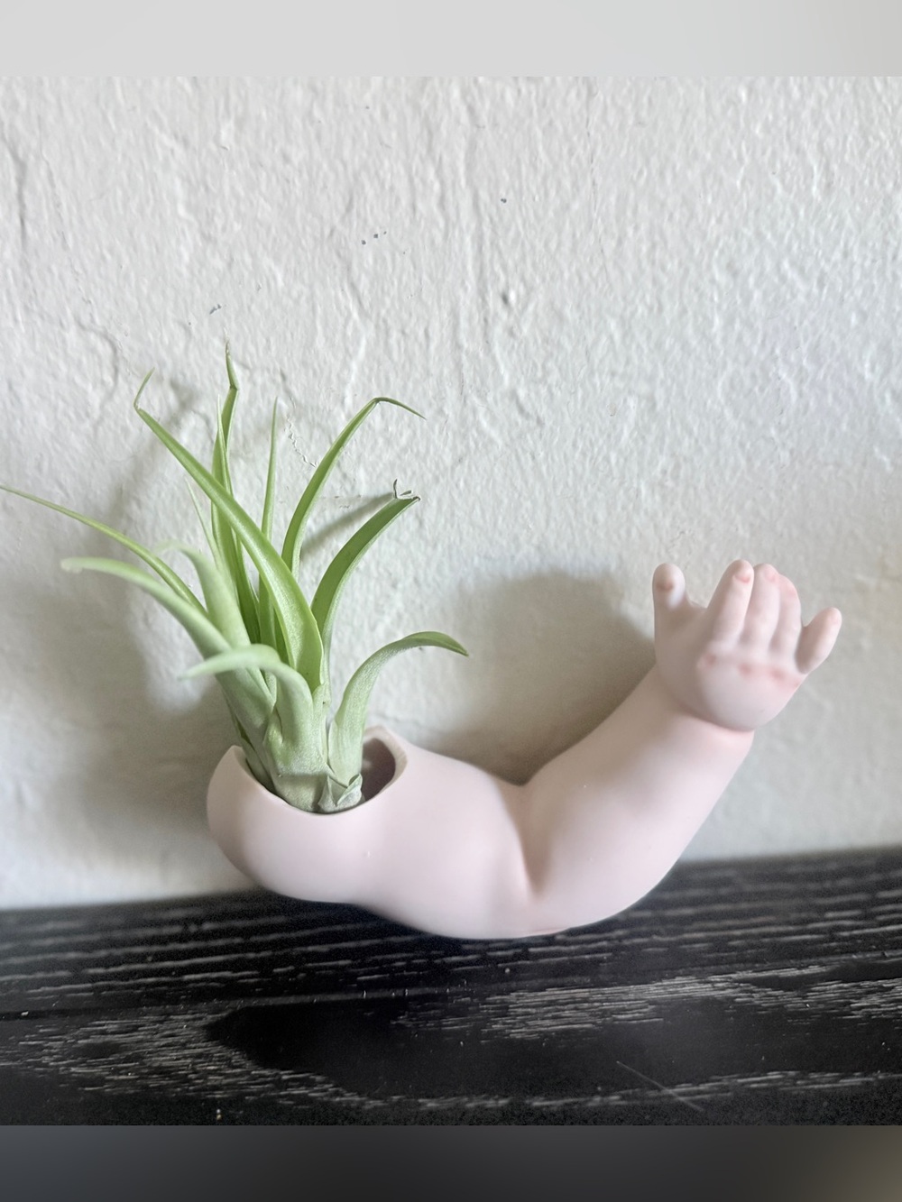 Creepy Doll Arm Air Plant Holder | Vintage Doll Part Planter